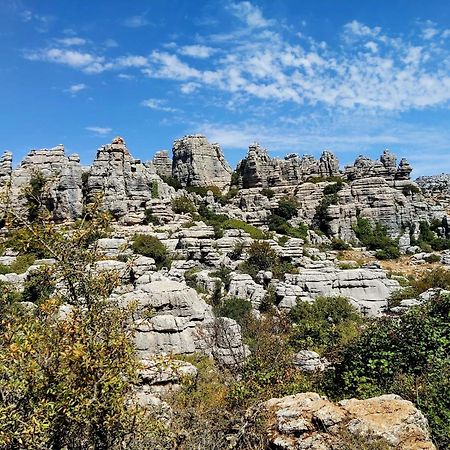 אלורה Cactus Hill - Safari Tents - Caminito Del Rey מראה חיצוני תמונה